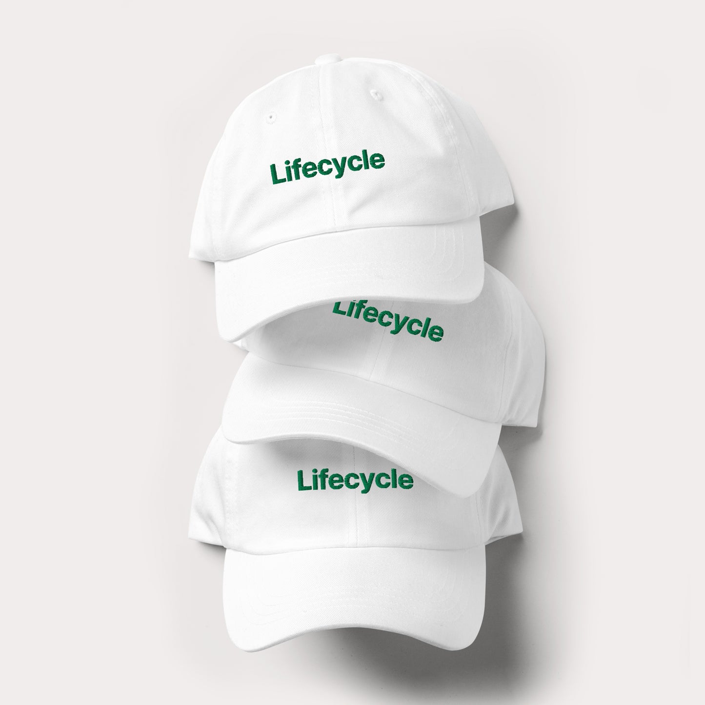 Lifecycle Hat